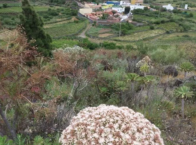 בית נופש Casa La Canada