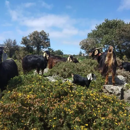 Casa La Canada بيت للعطل Santiago del Teide