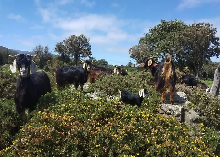 Casa La Canada Casa de Férias Santiago del Teide
