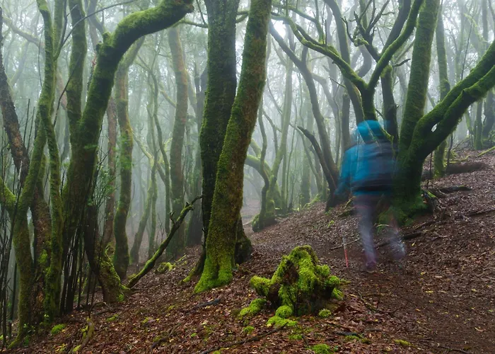Casa de Férias Casa La Canada Santiago del Teide